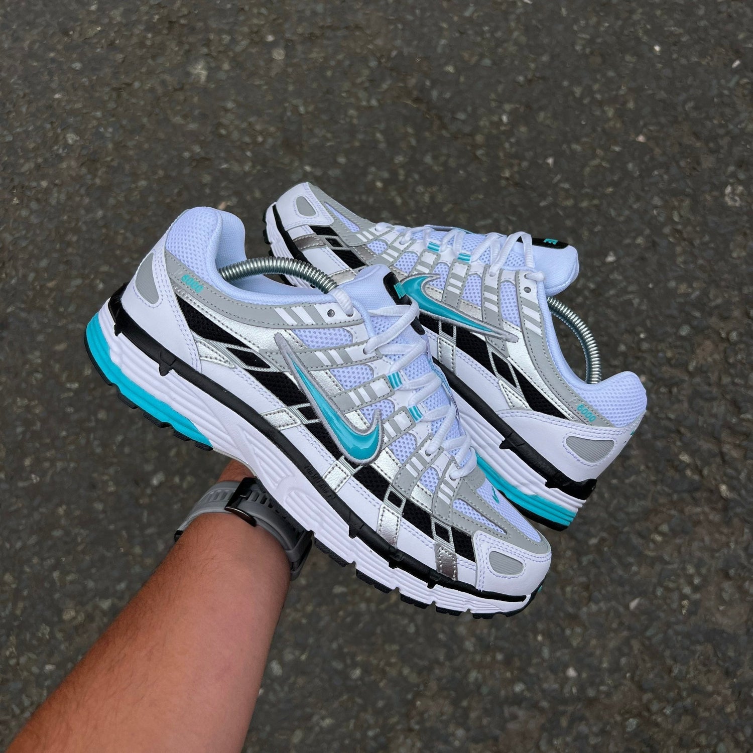 P-6000 Dusty Cactus